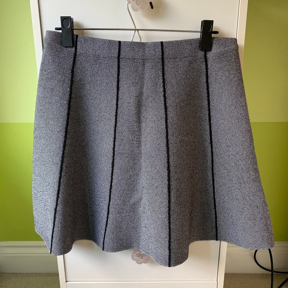 Zara A-Line Skirt